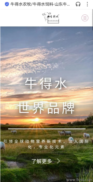 網(wǎng)站建設(shè)之動(dòng)物飼料